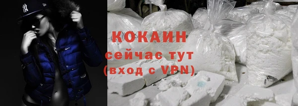 индика Нязепетровск
