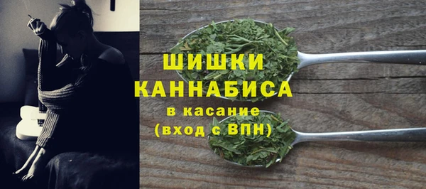 эйфоретик Вяземский