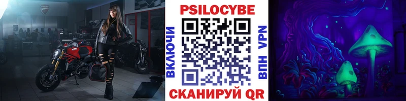 дарнет шоп Ачинск Псилоцибиновые грибы прущие грибы
